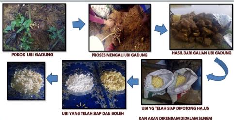 PROSES-UBI